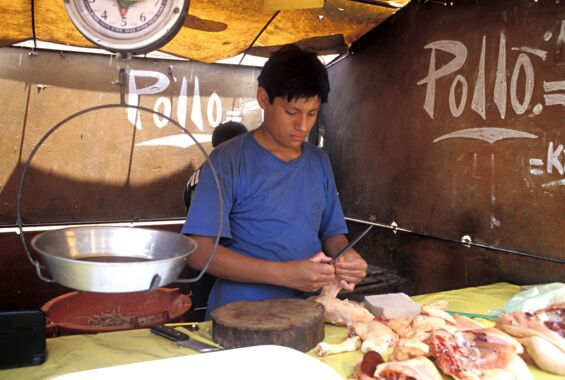 Ein Teenager in Lima, Peru, bereitet Hähnchen auf dem Markt zu