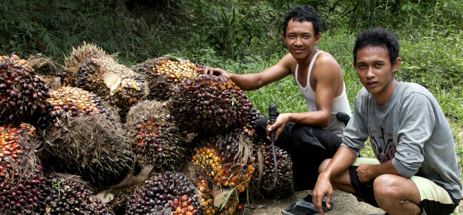 Erntearbeiter bearbeiten Biomasse in Indonesien