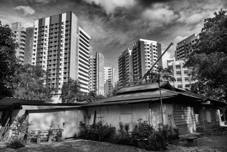 Eine Wohngegend in Singapur mit einigen HDB-Hochhäusern im Hintergrund. Foto in Schwarz-Weiß